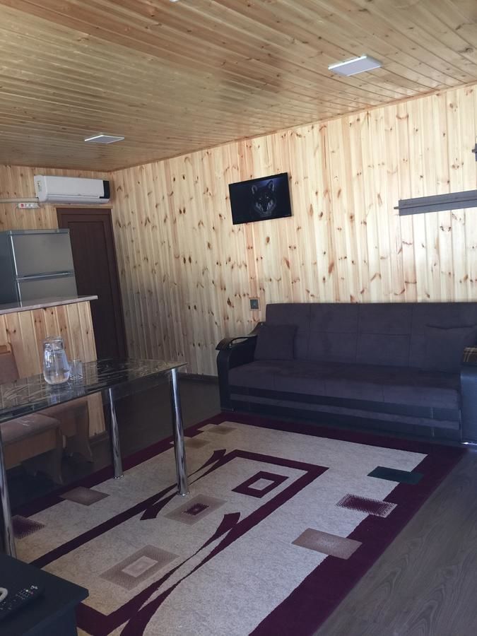 Загородные дома Emins Guest House Габала-20