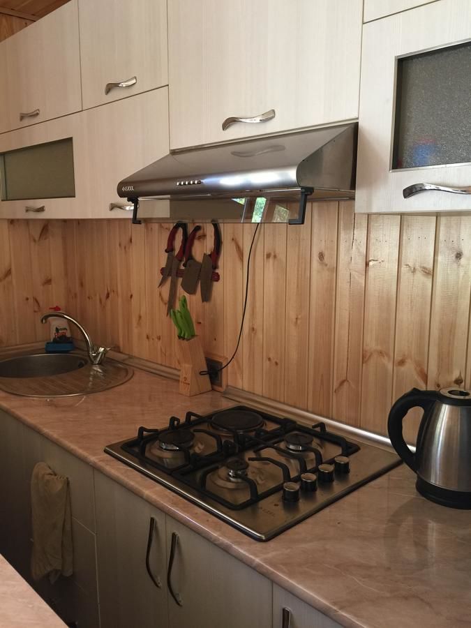 Загородные дома Emins Guest House Габала-24